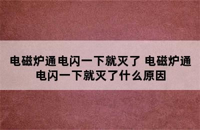 电磁炉通电闪一下就灭了 电磁炉通电闪一下就灭了什么原因